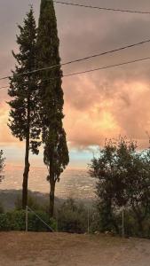 Příroda nedaleko prázdninového domu