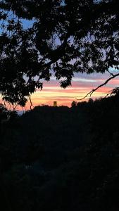 Příroda nedaleko prázdninového domu + 5 fotografií