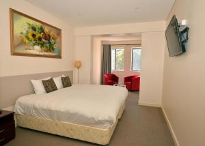 a hotel room with a bed and a tv at Parklane Motel Murray Bridge in Murray Bridge