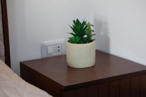 a potted plant sitting on top of a wooden table at Sky High Guesthouse in Gharīfah