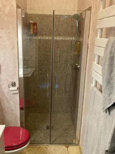 a shower with a glass door in a bathroom at Château de Livière in Calvisson