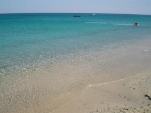 Táj Show holiday homes közelében