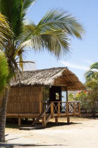 Fotografie z fotogalerie ubytování Departamentos y cabañas a pie de playa -Baraka Beach Club v destinaci Mazatlán