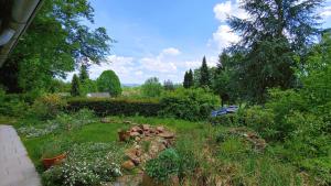 a garden with flowers and plants in a yard at Ruhiges Ferienhaus in sonniger Lage in Lissendorf +6 photos