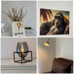 a collage of photos with a picture of a monkey and a lamp at Apartments Ein Haus in der Sonne in Malinska
