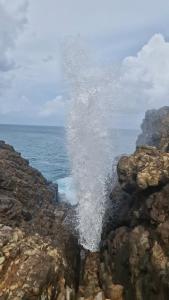 Gallery image of gibt nicht in Nikawatawana