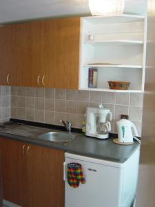 Kuchyň nebo kuchyňský kout v ubytování Apartmán Schovánek