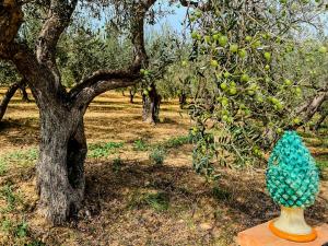 Κήπος έξω από το Tenuta Bartoli +57 φωτογραφίες