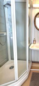 a shower with a glass door in a bathroom at Nord-Garthus gård leilighet 1 in Hølera
