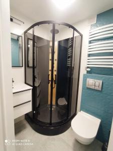 a bathroom with a shower with a toilet and a sink at Willa Loka Apartamenty in Władysławowo