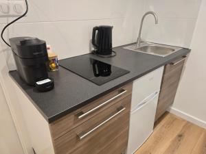 a kitchen with a coffee maker and a sink at Sarah in Aix-les-Bains +1 photo