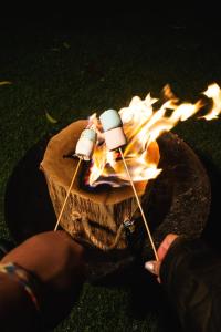 Φωτογραφία από το άλμπουμ του Los Domos Panamá Fuego σε Alto del Mamey