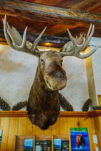 Gallery image of Helmcken Falls Lodge Cabin Rooms and RV Park in Clearwater