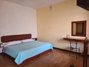 ein Schlafzimmer mit einem Bett, einem Schreibtisch und einem Stuhl in der Unterkunft Hotel Las Violetas in Zacatlán