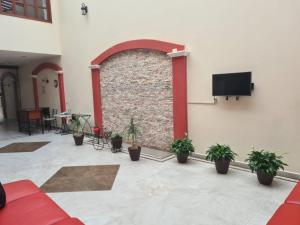 ein Zimmer mit einer bepflanzten Wand und einem Flachbildfernseher in der Unterkunft Hotel Las Violetas in Zacatlán
