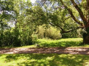 Zahrada ubytování Holiday Home in Manhay with Garden BBQ