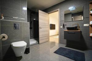 a bathroom with a toilet and a sink at Chic Loft Facing Neo-Gothic Church in Ghent +23 photos