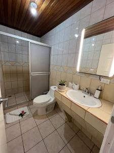 フォルトゥナにあるArenal Living Apartmentのトイレ、洗面台、鏡を備えたバスルーム