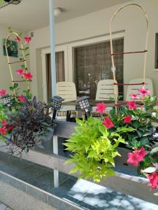 A garden outside Barázda Apartman