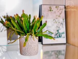 Fotografie z fotogalerie ubytování Bella Hotel Bai Sau Vung Tau v destinaci Vũng Tàu