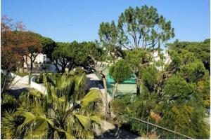 Příroda nedaleko vily