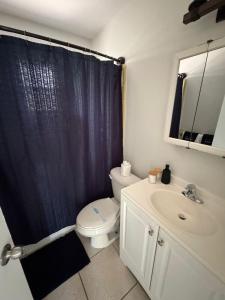 a bathroom with a toilet and a sink at Apartment in Bonita in Bonita Springs +13 photos