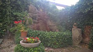 Zahrada ubytování Hotel Terme Belvedere