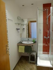 y baño con lavabo y ducha. en Hotel-Gasthof "Zum Bartl" en Sulzbach-Rosenberg