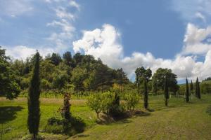 eine Reihe von Bäumen auf einem Feld mit einem Himmel in der Unterkunft Agriturismo Il Cavicchio in Pianoro