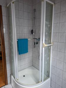 a shower with a glass door in a bathroom at Krez Ferienhaus in Plein +24 photos