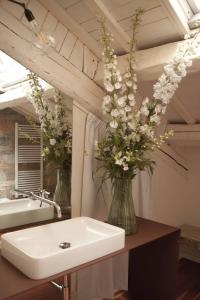 Gallery image of Chez papa in Ravenna