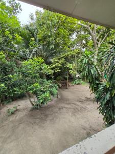 Κήπος έξω από το Cozy Thai Home, Top Location