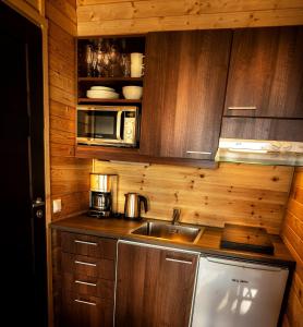 Dapur atau dapur kecil di Jättiläisenmaa