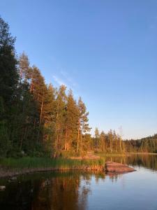 a body of water with trees in the background at Metsäsydän mökki 1 Minttumaari in Puumala