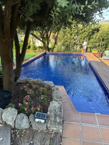 a swimming pool with a flower garden next to a tree at Caseta de Fusta in Aiguafreda