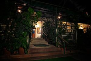 a room with stairs and potted plants at night at Ivy Suites in Bhopal
