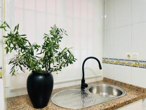 a black vase sitting next to a sink with a plant at Comeback Sweet Summer Day in Torrenueva