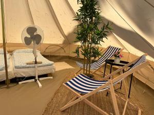 two chairs and a fan in a tent at Pigna Felice Punta Ala in Punta Ala
