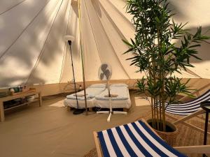 a room with a tent with a fan and a plant at Pigna Felice Punta Ala in Punta Ala