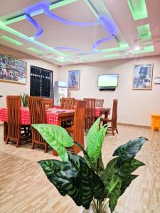 a restaurant with tables and chairs and a potted plant at Mamucha Grand Lodge in Arusha