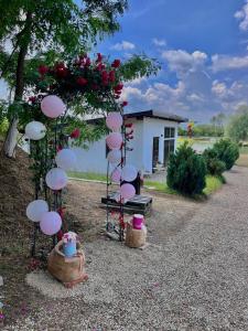 Photo de la galerie de l'établissement Casa Șoimului, à Caransebeş