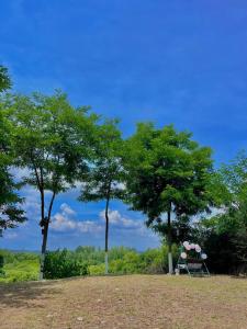 Photo de la galerie de l'établissement Casa Șoimului, à Caransebeş
