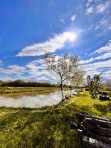 Photo de la galerie de l'établissement Casa Șoimului, à Caransebeş 120 autres photos