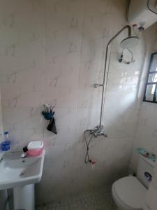 Benin CityにあるBellevette homeのシャワー、トイレ、洗面台を備えたバスルーム