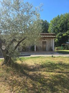 Zahrada ubytování Grotta Biscia