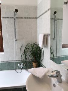 a bathroom with a sink and a shower with a plant at Villa Nona with swimming pool in Dornberk +19 photos