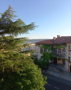 a group of buildings with trees in the foreground at Largo in Crikvenica