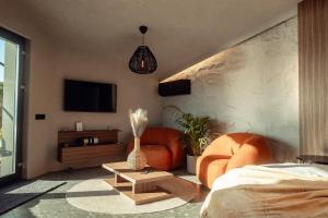 a living room with a bed and a chair and a table at Amumi Tiny Houses in Buhalniţa