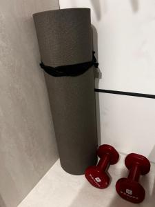 a speaker and two red handles in a room at Studio Chic Elena in Năvodari