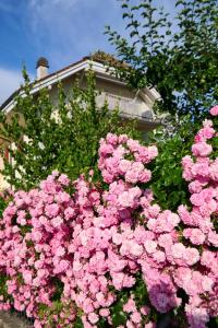 Zahrada ubytování B&B Perron13